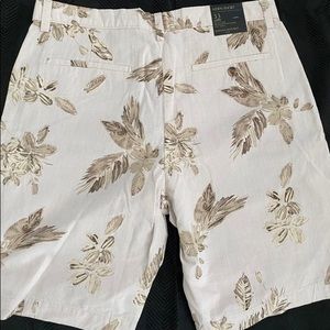 Banana Republic Aiden Shorts